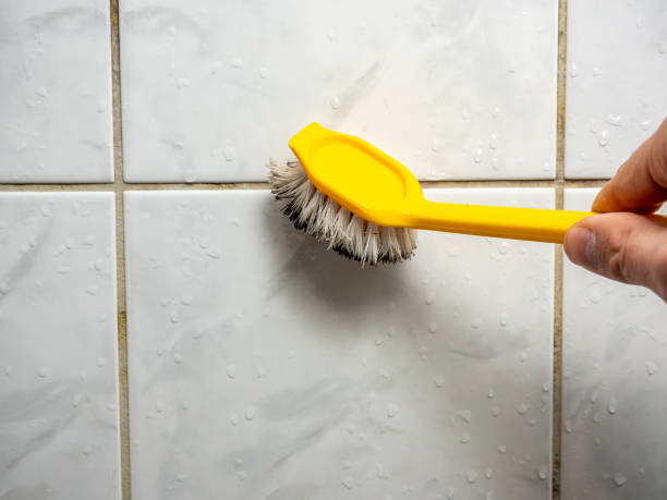Best Emergency Mold Removal  in Shaker Heights, OH