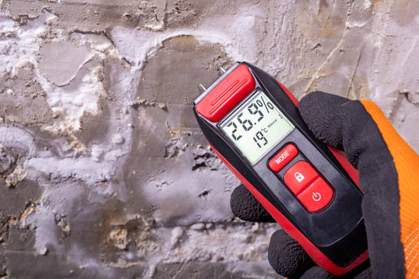 Best Mold Testing  in Shaker Heights, OH