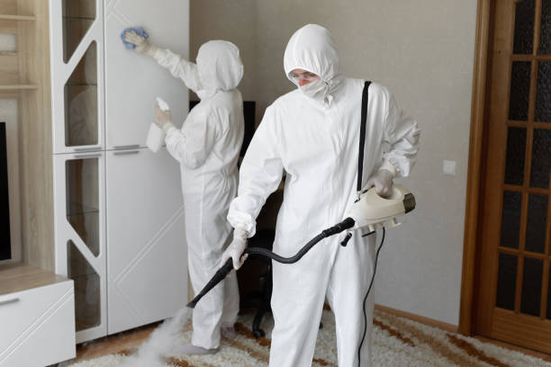 Certified Mold Removal in Shaker Heights, OH