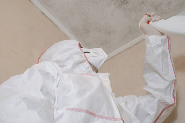 Best Residential Mold Removal  in Shaker Heights, OH